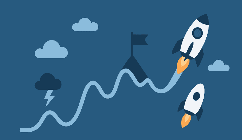 Curated Opportunities